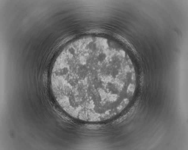 X0000112430825200909251534