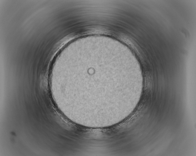 X0000112430828200909251534