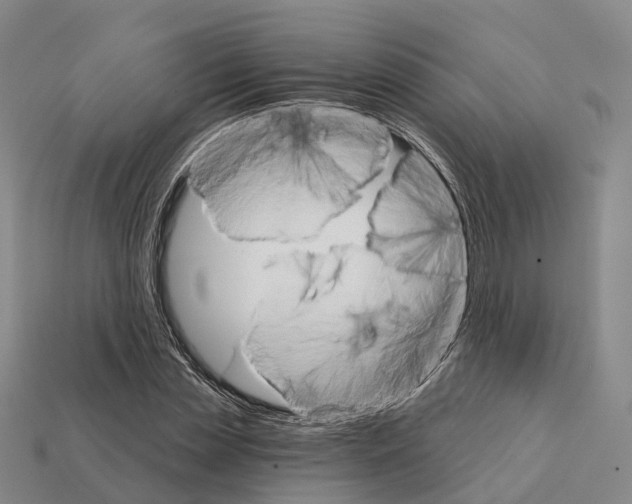 X0000112430829200909251534