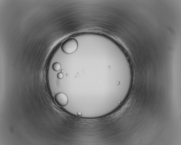X0000112430830200909251534