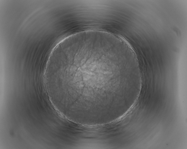 X0000112430831200909251534