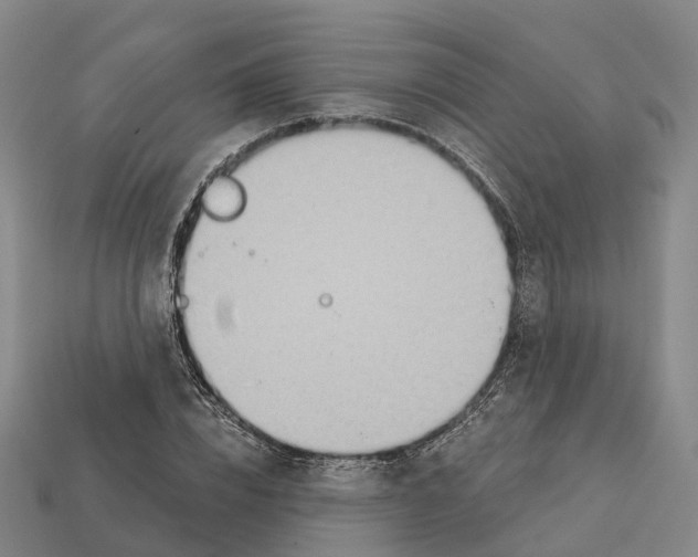 X0000112430832200909251534
