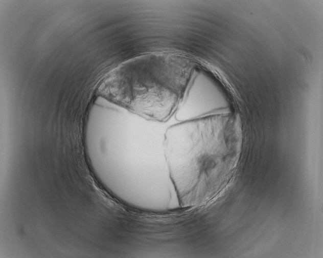 X0000112430833200909251534