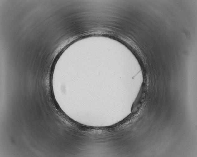X0000112430834200909251534
