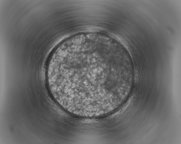 X0000112430835200909251534