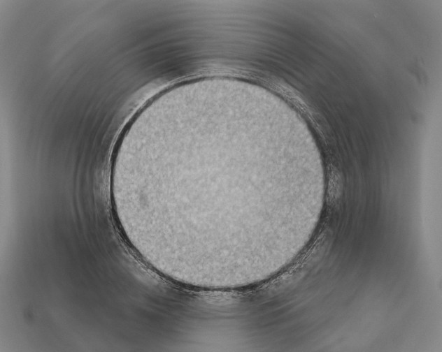 X0000112430836200909251534