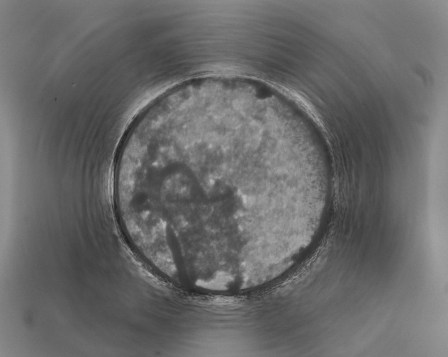 X0000112430839200909251535