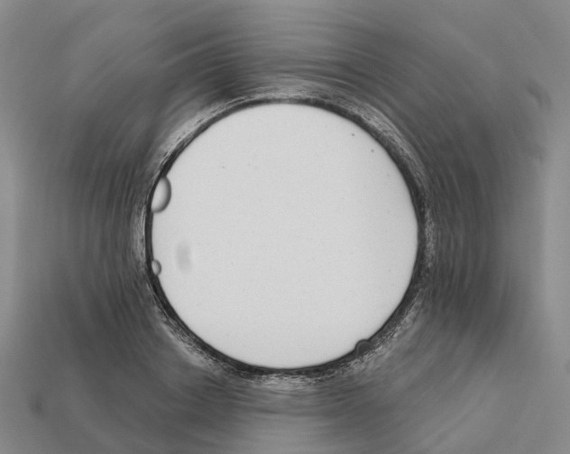 X0000112430842200909251535
