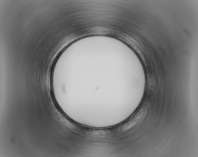 X0000112430843200909251535