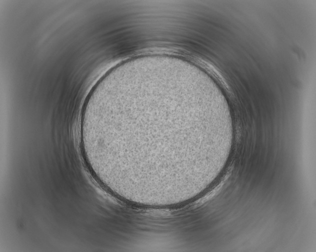 X0000112430844200909251535