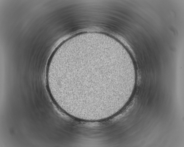 X0000112430845200909251535