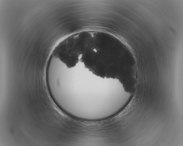 X0000112430846200909251535