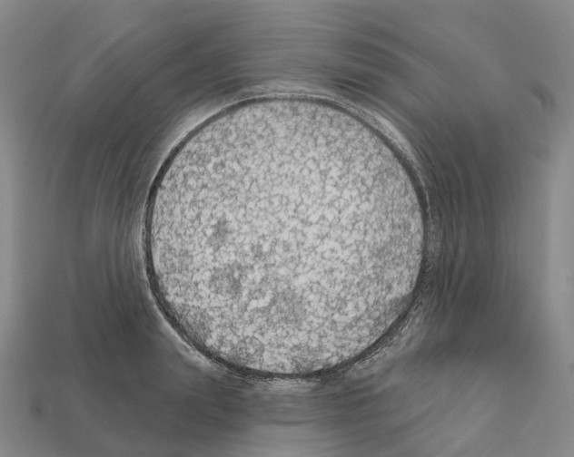 X0000112430847200909251535