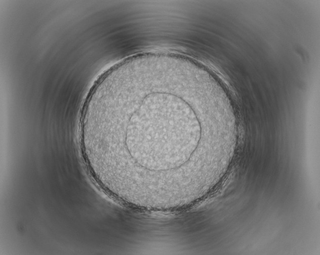 X0000112430848200909251535