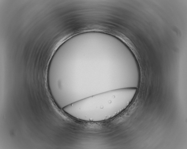 X0000112430850200909251535