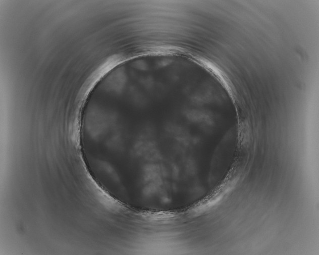 X0000112430851200909251535