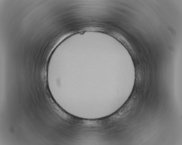 X0000112430852200909251535