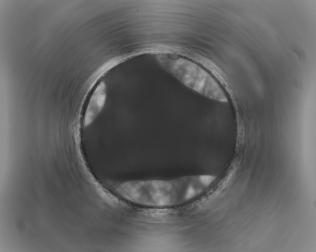 X0000112430853200909251535