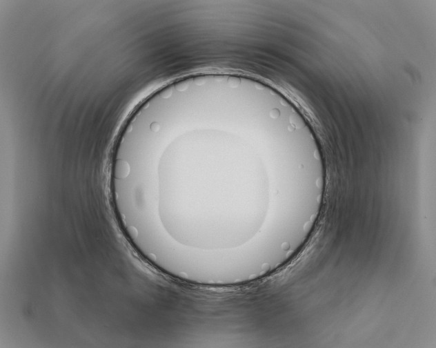 X0000112430854200909251535