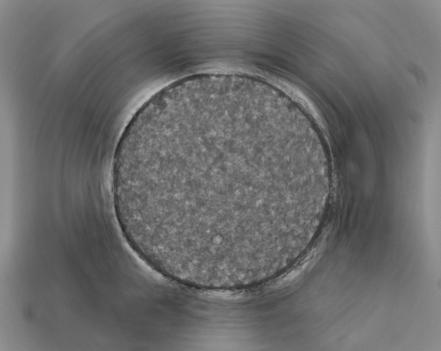 X0000112430855200909251535