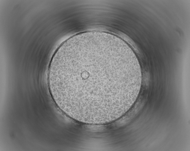 X0000112430856200909251535