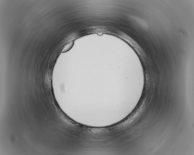 X0000112430857200909251535