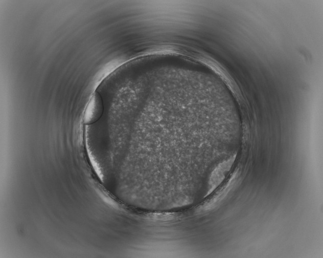 X0000112430858200909251535