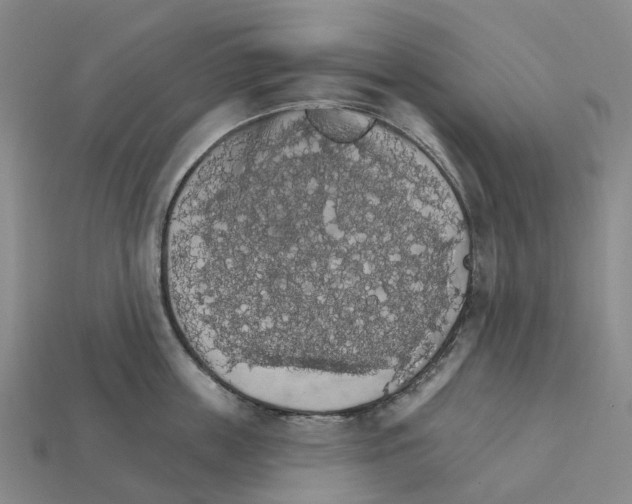X0000112430859200909251535