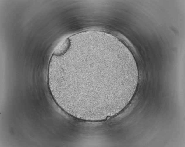 X0000112430860200909251535