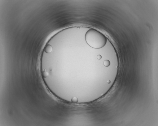 X0000112430862200909251535