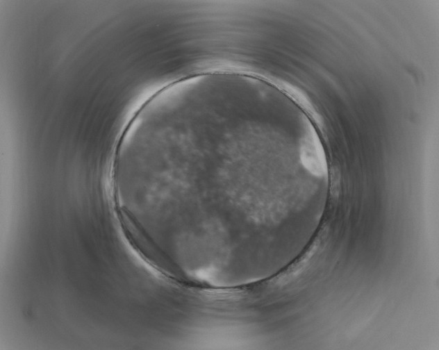 X0000112430863200909251535
