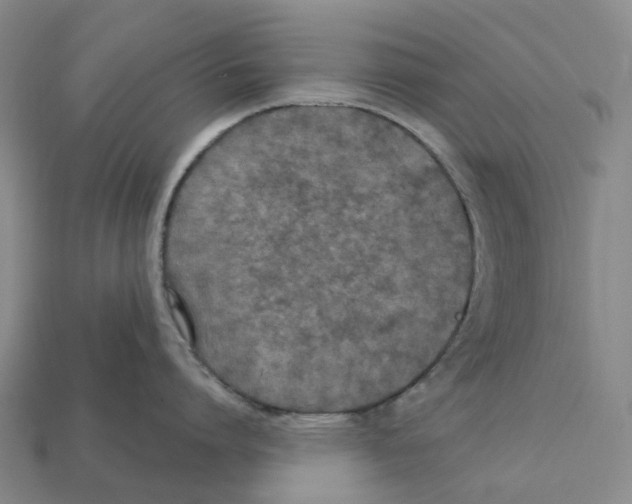 X0000112430864200909251535