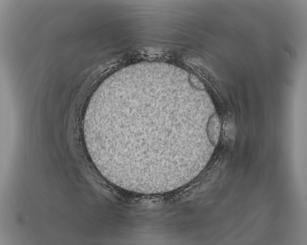 X0000112430865200909251534