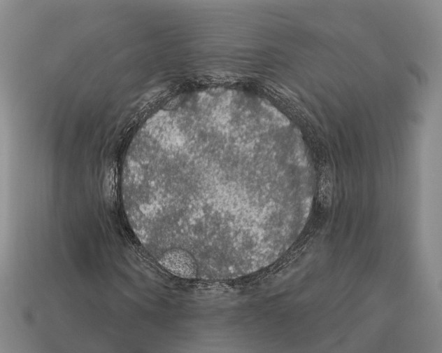 X0000112430866200909251534