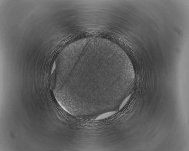 X0000112430868200909251534
