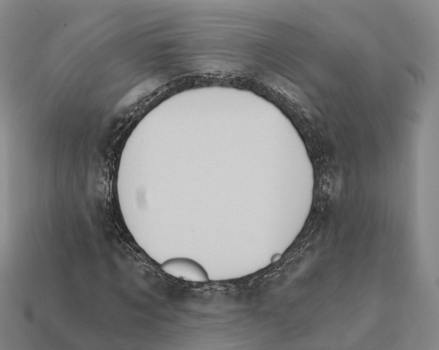 X0000112430869200909251534