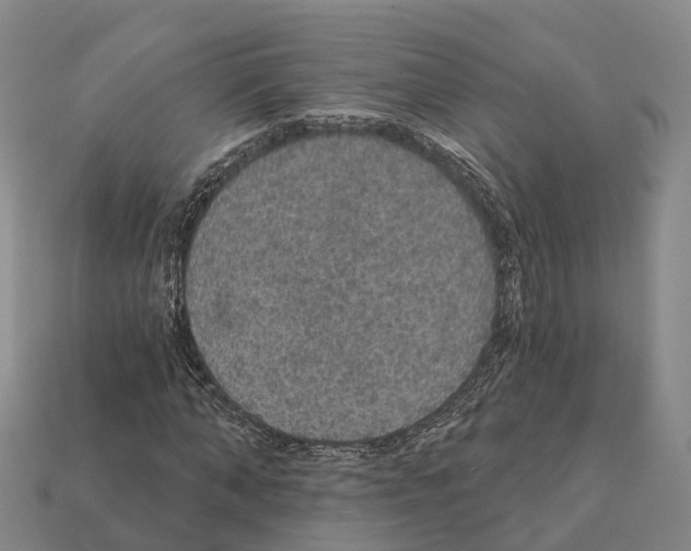 X0000112430870200909251534