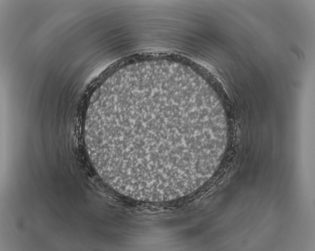 X0000112430871200909251534