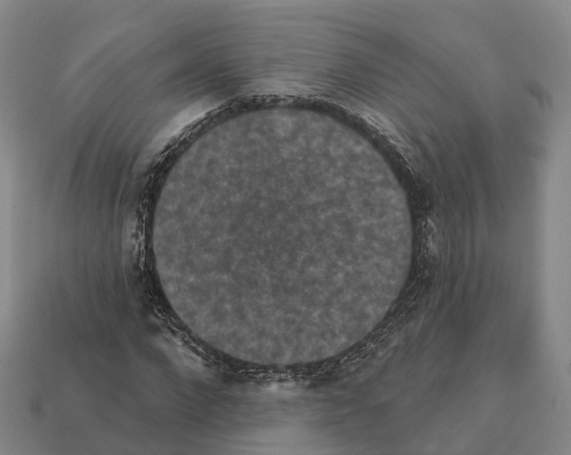 X0000112430872200909251534