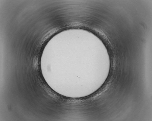 X0000112430873200909251534