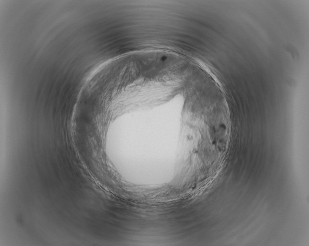 X0000112430875200909251534