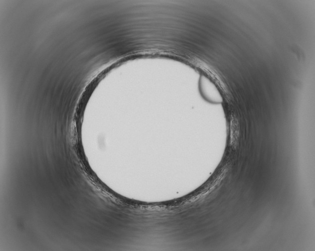 X0000112430876200909251534