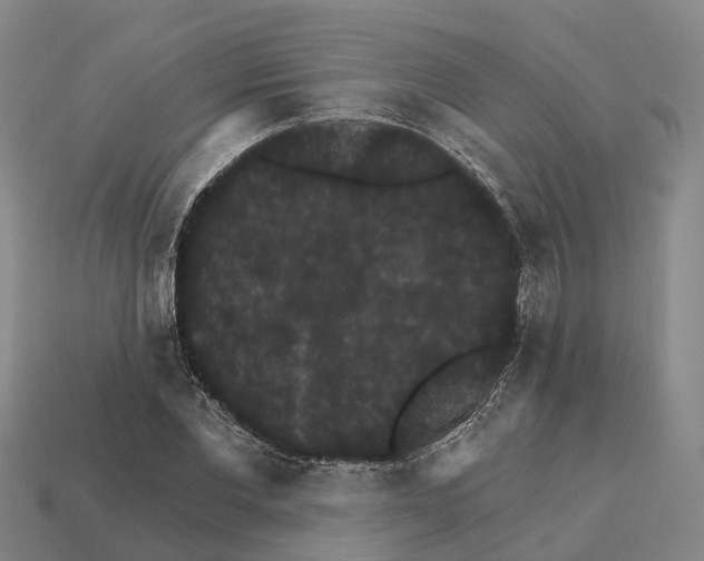 X0000112430877200909251534