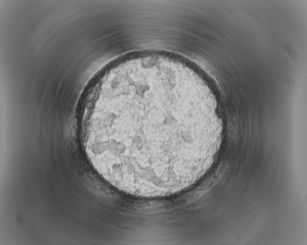 X0000112430879200909251534