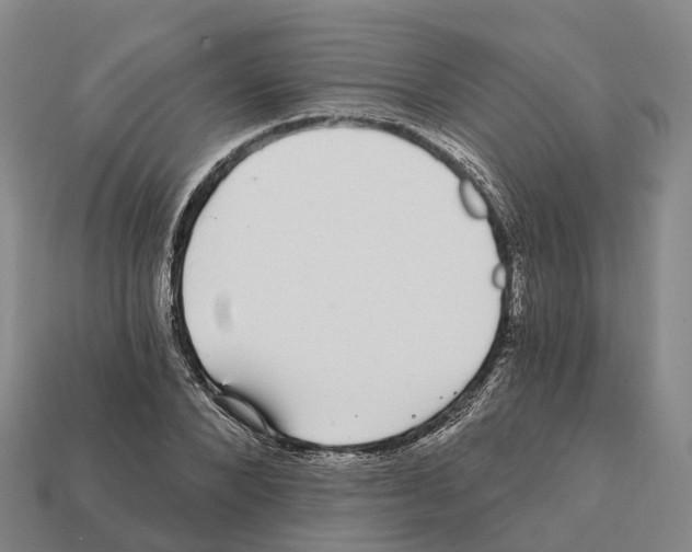 X0000112430880200909251534