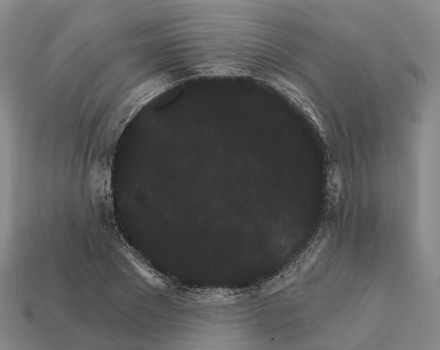 X0000112430881200909251534