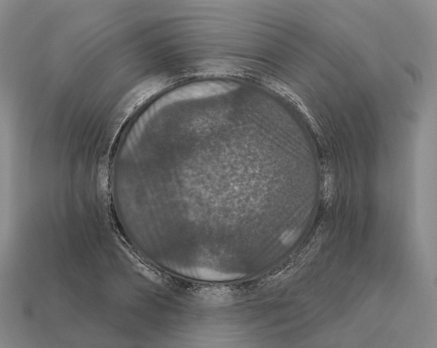 X0000112430882200909251534