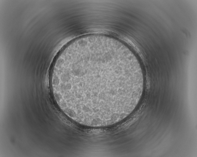 X0000112430883200909251534