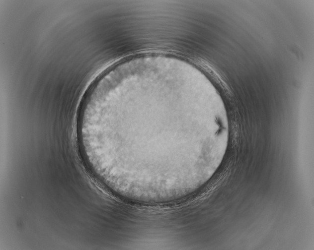 X0000112430884200909251534