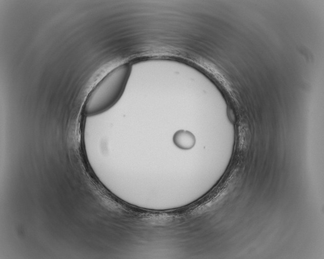 X0000112430885200909251534